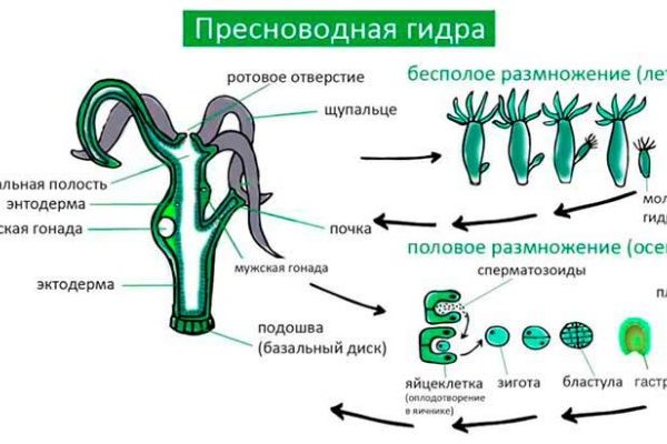 Ссылка на кракен даркнет